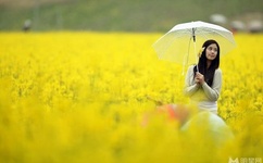 免费国产黄网站在线看品善网